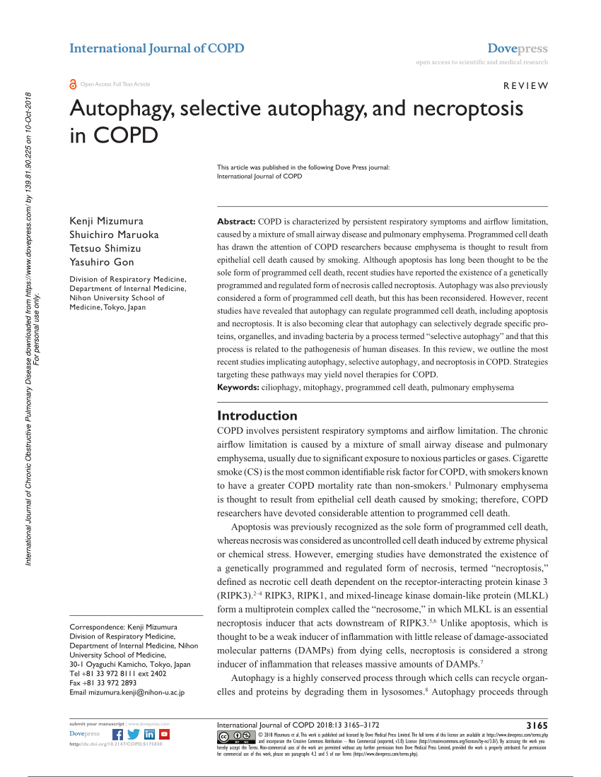 Pdf Autophagy Selective Autophagy And Necroptosis In Copd