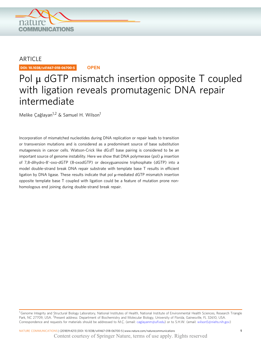 Pdf Pol M Dgtp Mismatch Insertion Opposite T Coupled With Ligation Reveals Promutagenic Dna Repair Intermediate