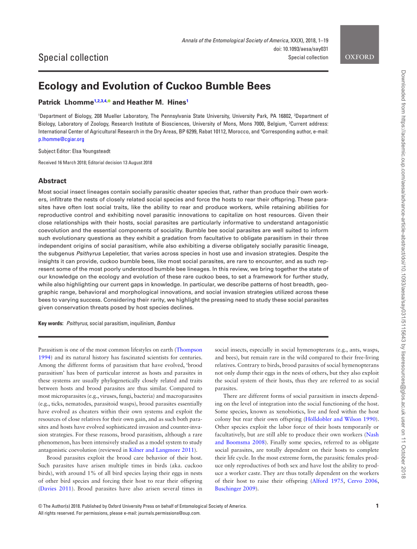 Pdf Ecology And Evolution Of Cuckoo Bumble Bees