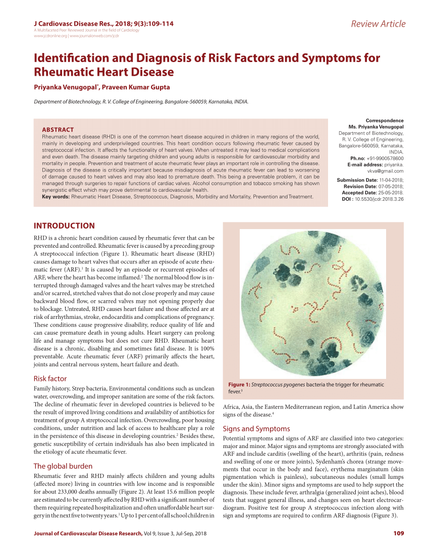 rheumatic heart disease research paper