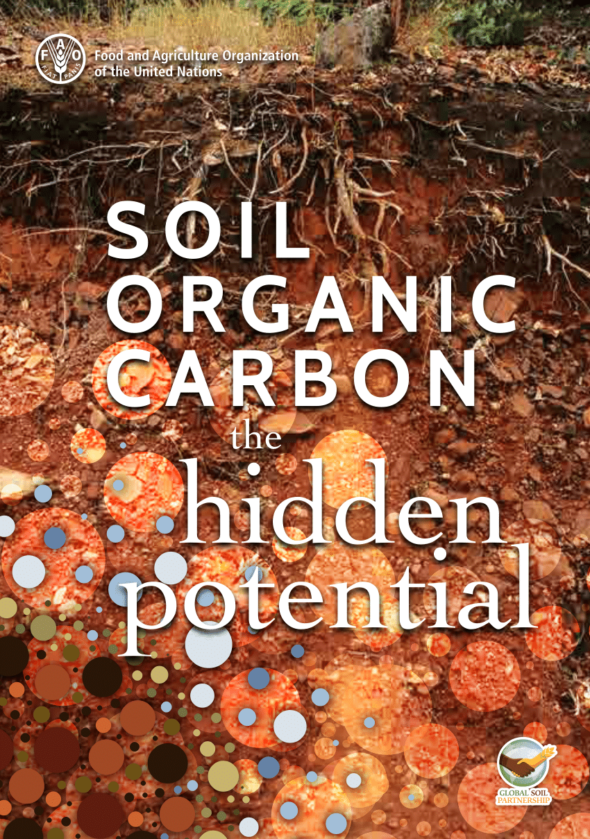 (PDF) Soil organic carbon: the hidden potential