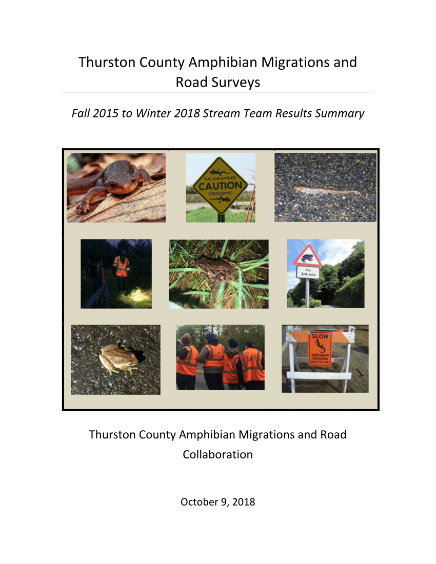 (PDF) Thurston County Amphibian Migrations and Road Surveys: Fall 2015