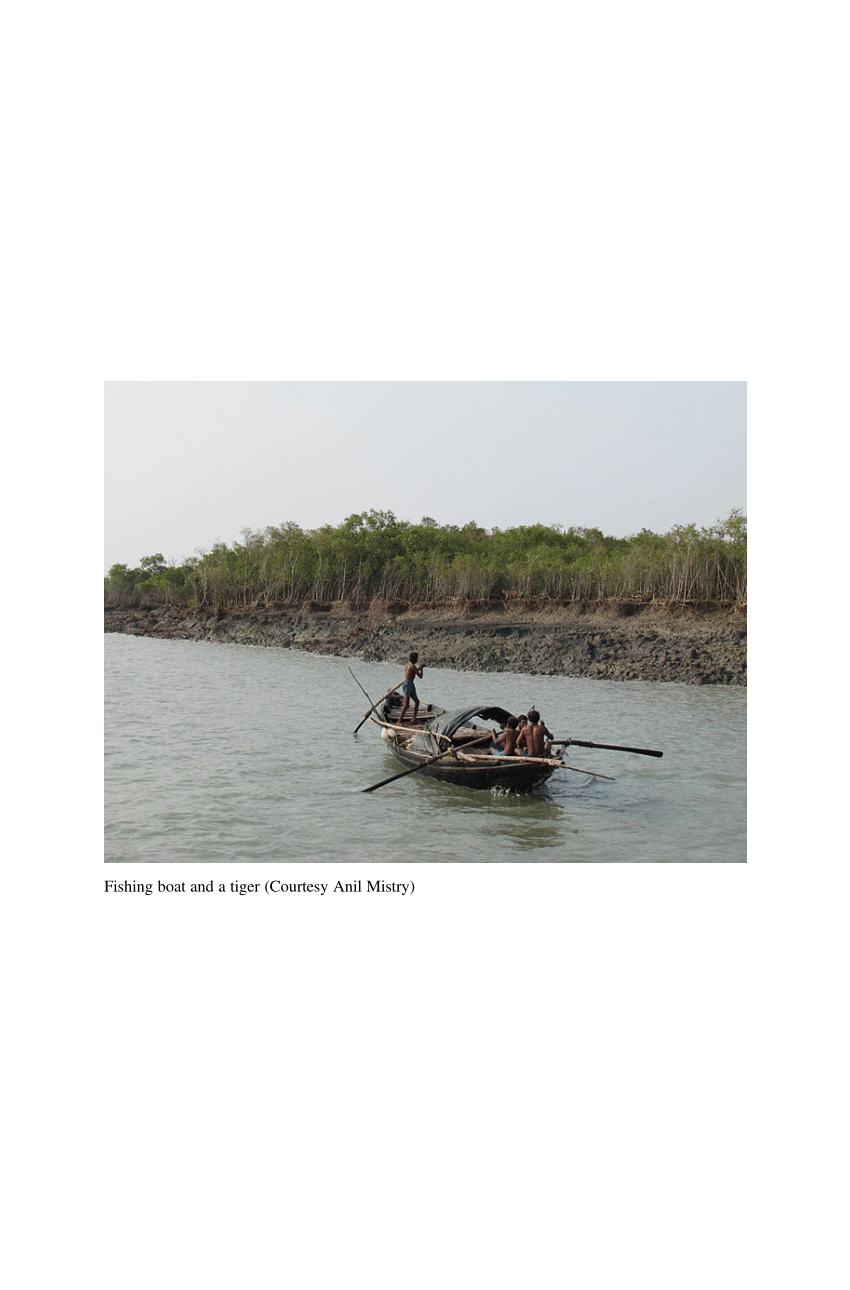 PDF) Aquaculture and Fisheries in the Sundarbans and Adjacent Areas in  Bangladesh: Resources, Productivity, Challenges and Opportunities