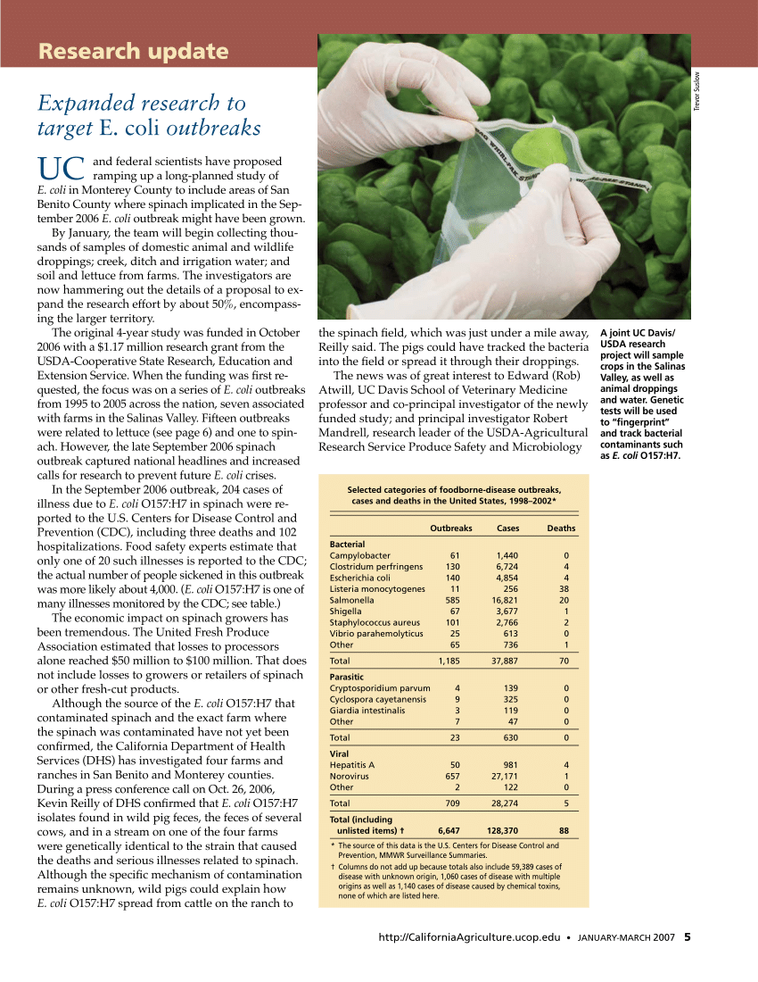 (PDF) Expanded research to target E. coli outbreaks