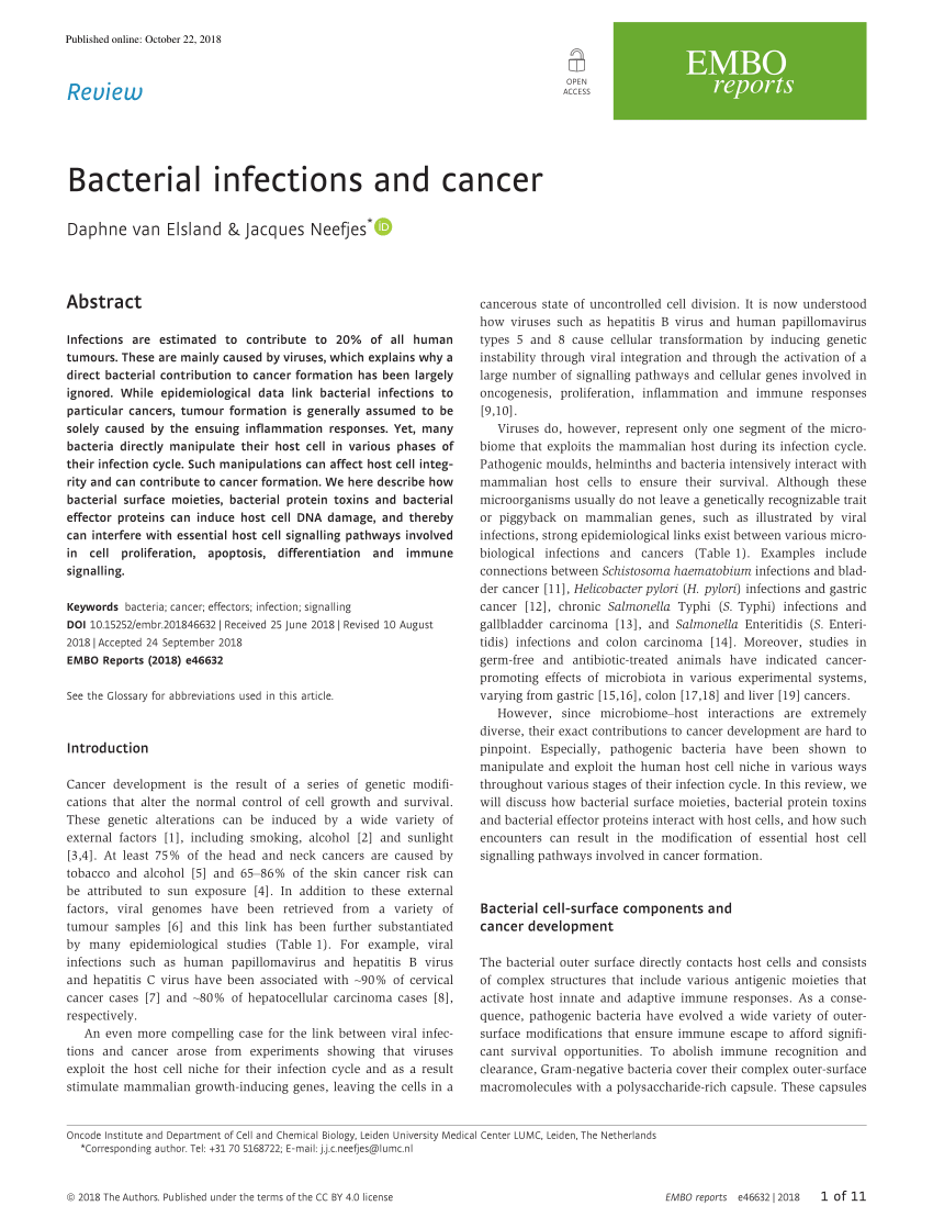 Pdf Bacterial Infections And Cancer