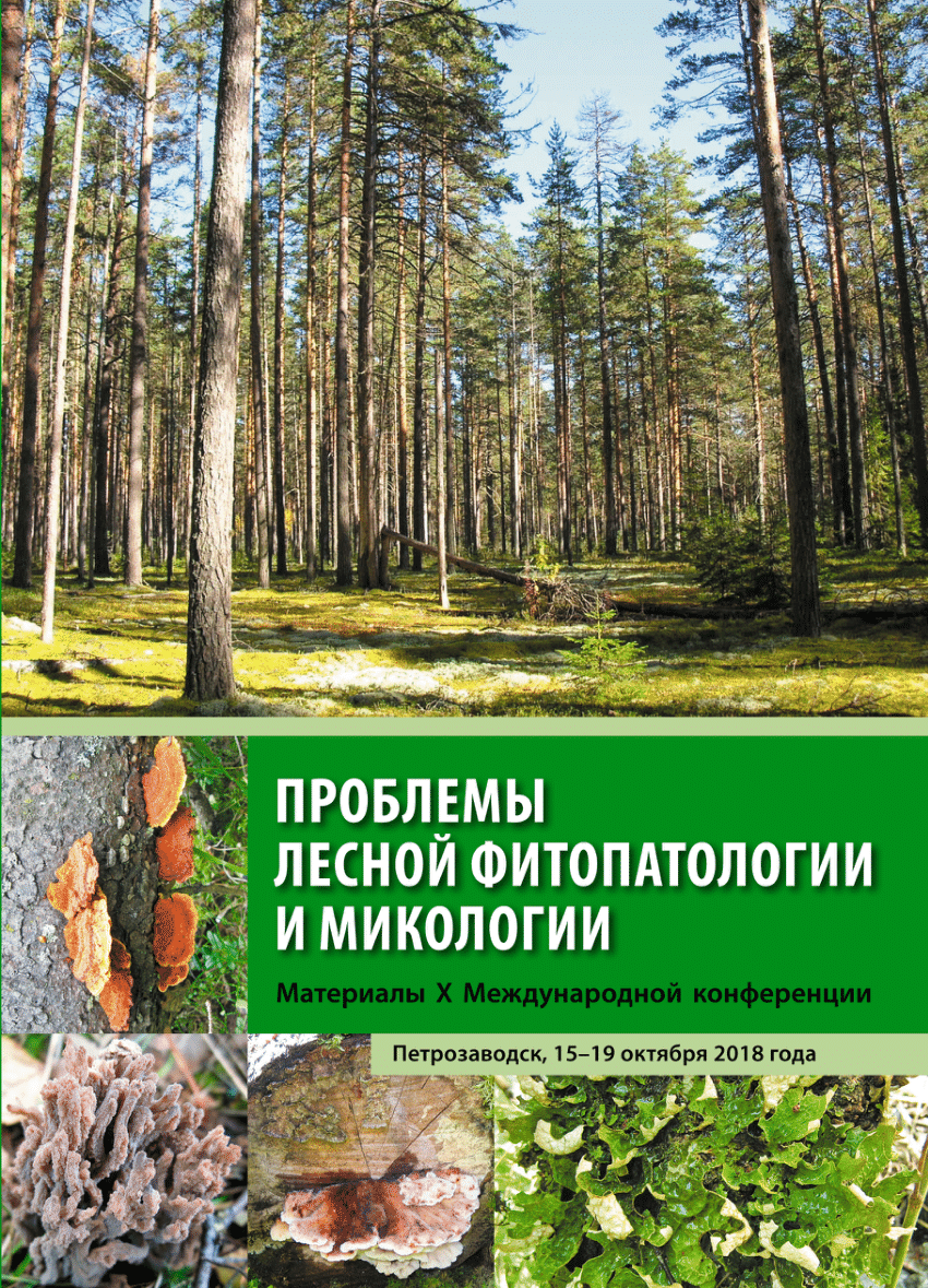 PDF) СОХРАНЕНИЕ РЕДКИХ ЛЕКАРСТВЕННЫХ ДЕРЕВОРАЗРУШАЮЩИХ МАКРОМИЦЕТОВ В  КОЛЛЕКЦИИ КУЛЬТУР ШЛЯПОЧНЫХ ГРИБОВ (ІВК)