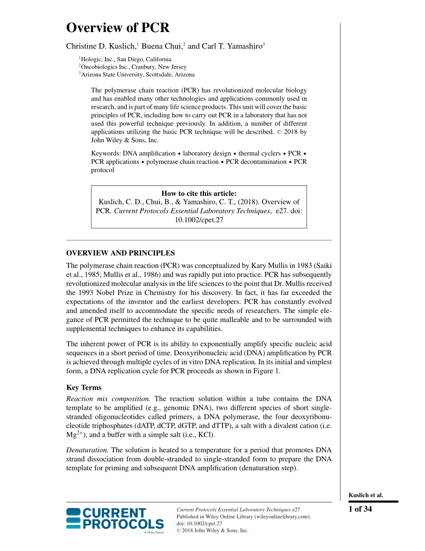 Poly(A) lyophilized, suitable for PCR, pkg of 100 mg