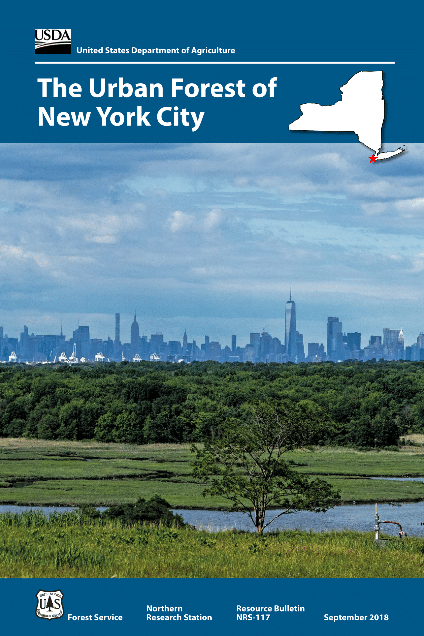 New York City Greenery Absorbing All Traffic Emissions on Many Summer Days  - Yale E360