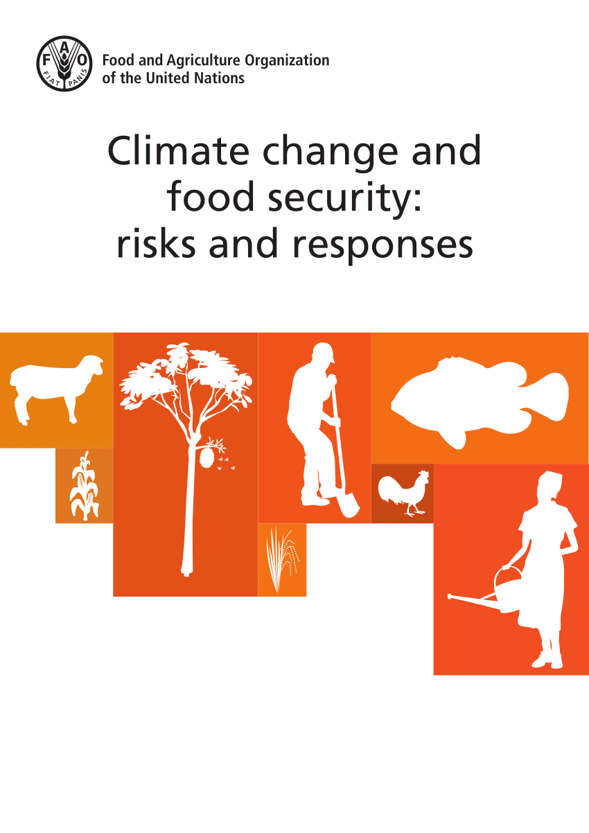 food security and climate change infographic