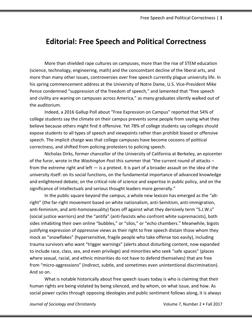 political correctness essay examples