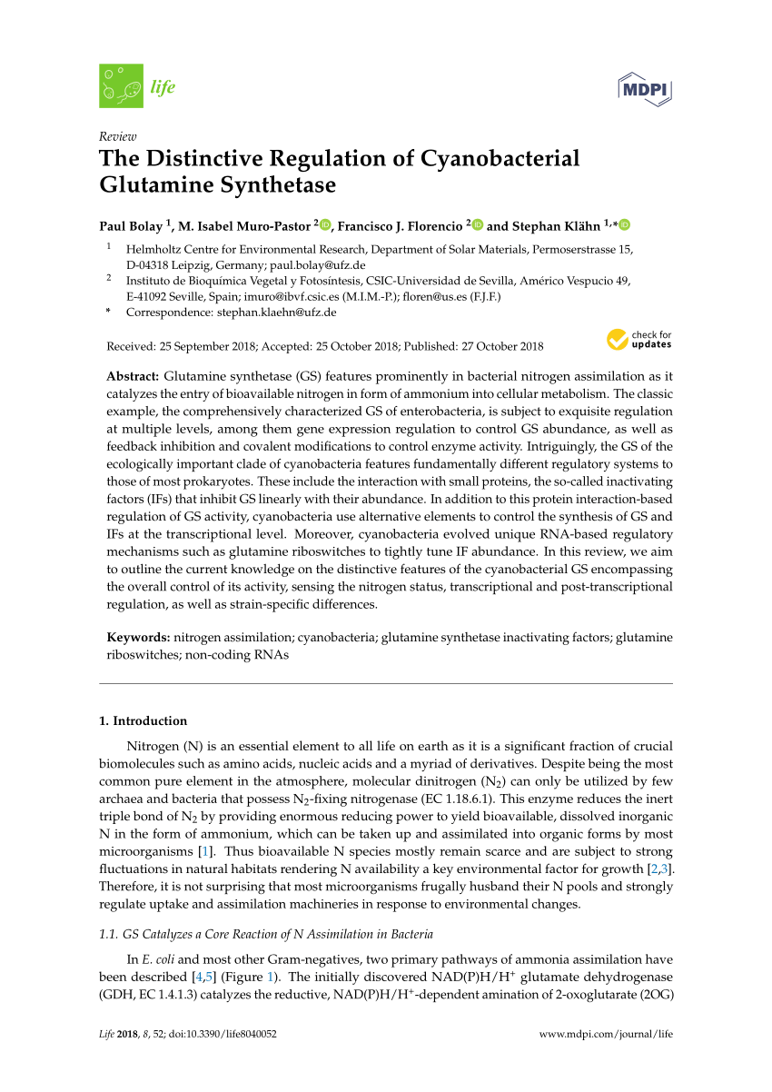 Pdf The Distinctive Regulation Of Cyanobacterial Glutamine Synthetase