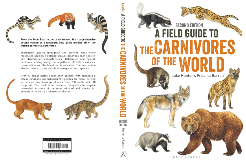 PDF) Carnivores of the World, Edition 2; Introduction and preview