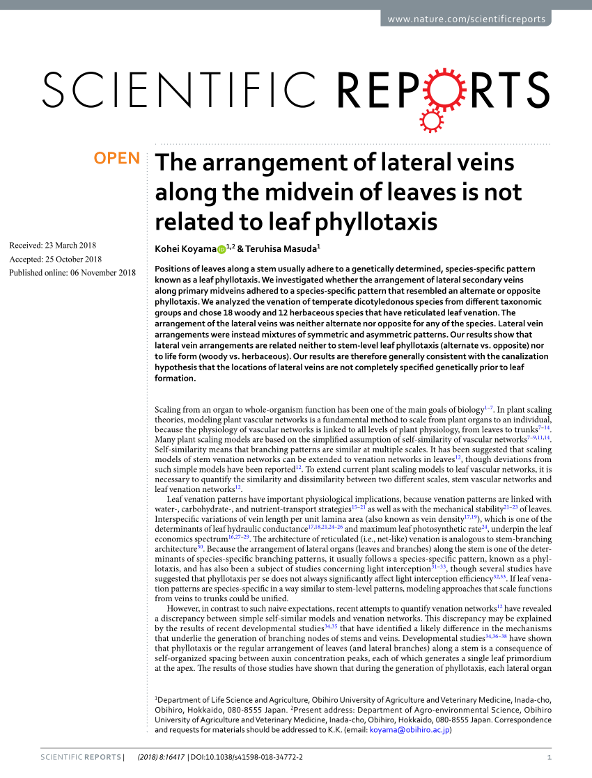 PDF) The arrangement of lateral veins along the midvein of leaves