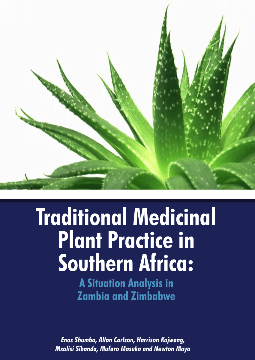 Pdf Traditional Medicinal Plant Practice In Southern Africa A Situational Analysis In Zambia
