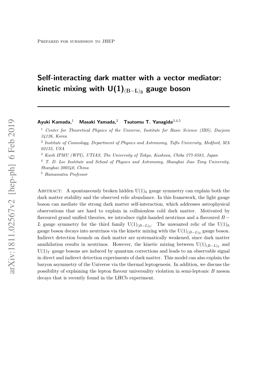 Pdf Self Interacting Dark Matter With A Vector Mediator Kinetic Mixing With U 1 B L 3 Gauge Boson