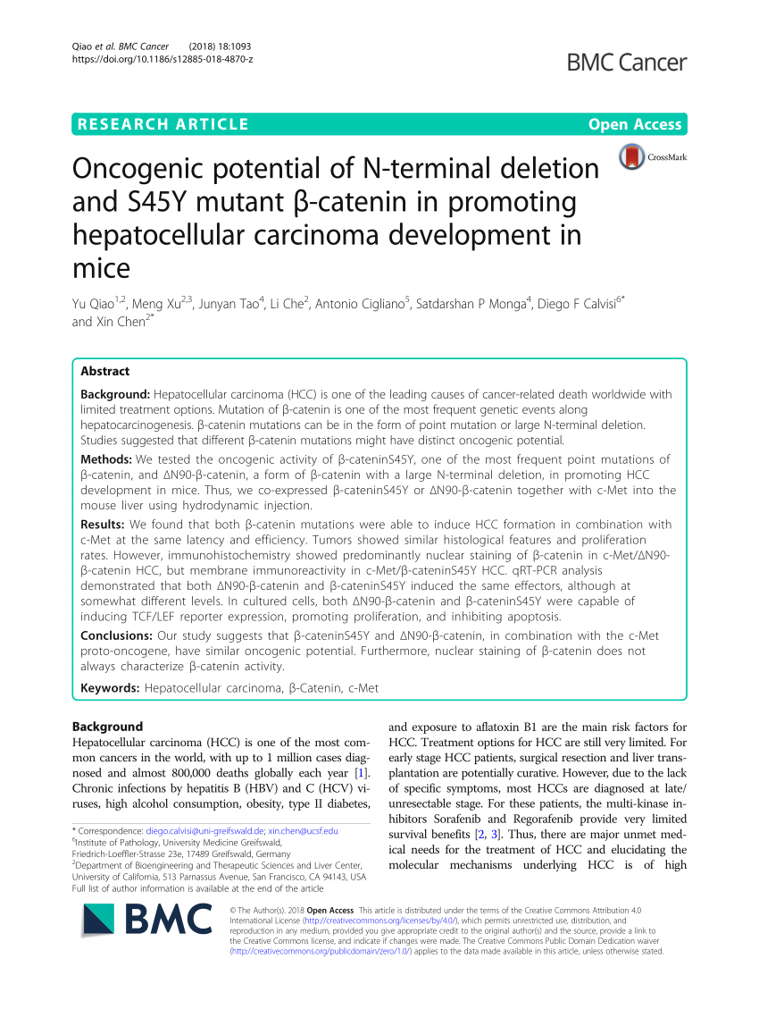 Pdf Oncogenic Potential Of N Terminal Deletion And S45y Mutant B Catenin In Promoting Hepatocellular Carcinoma Development In Mice