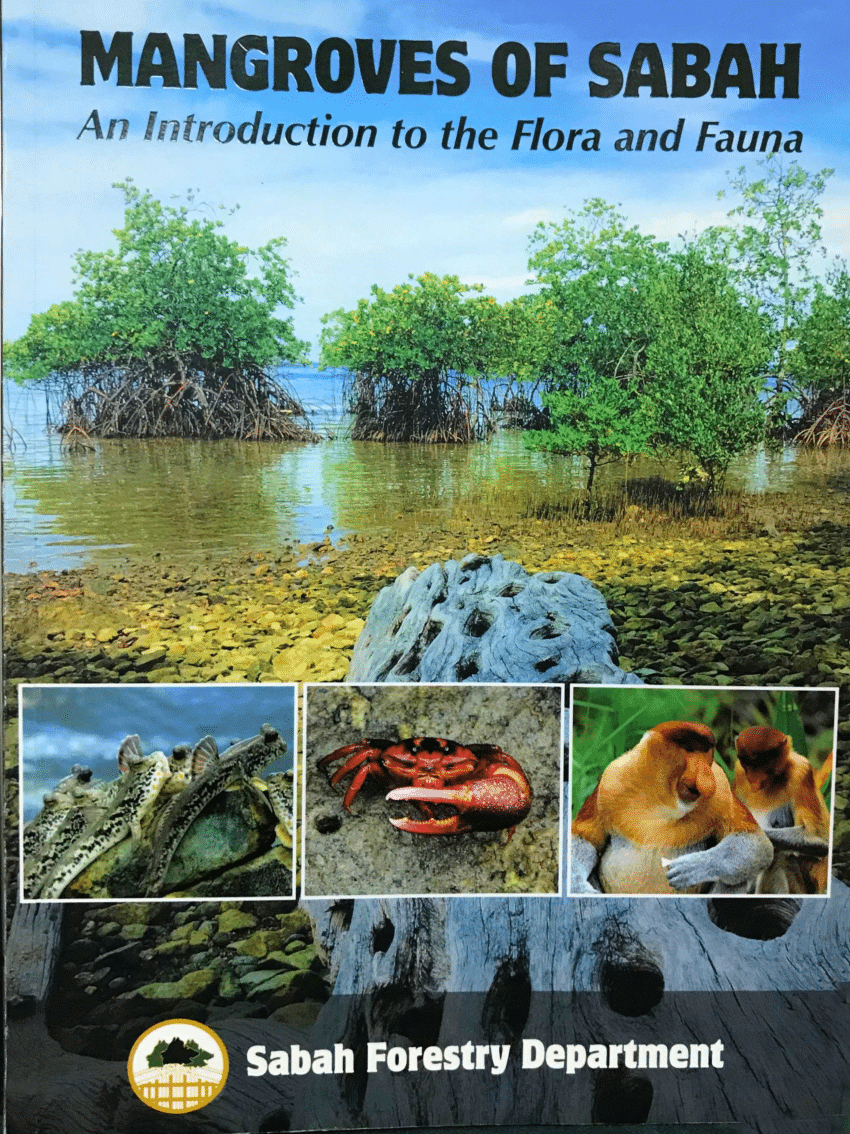 PDF) Mangrove Fauna (Mangroves of Sabah - An Introduction to the Flora &  Fauna)