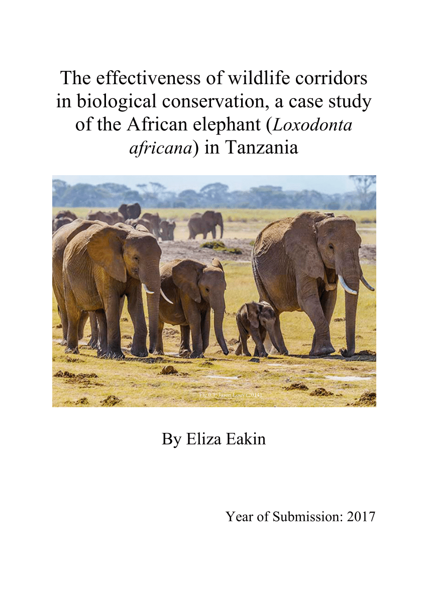 case study of wildlife conservation
