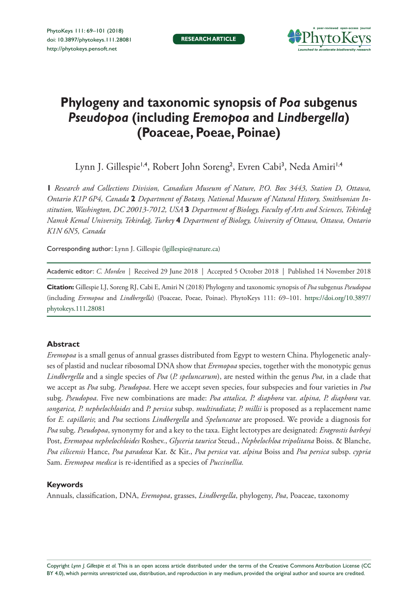 Pdf Phylogeny And Taxonomic Synopsis Of Poa Subgenus Pseudopoa Including Eremopoa And Lindbergella Poaceae Poeae Poinae