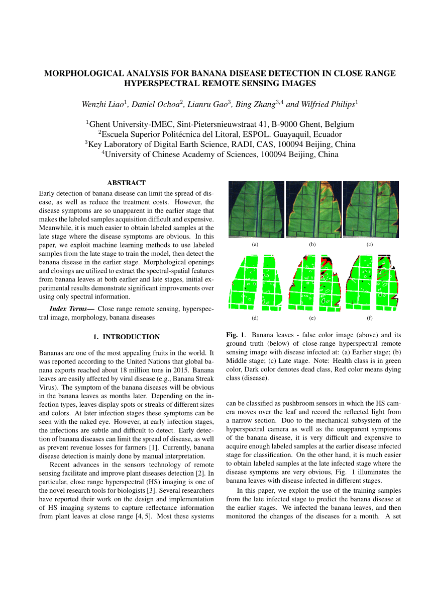 banana research paper pdf