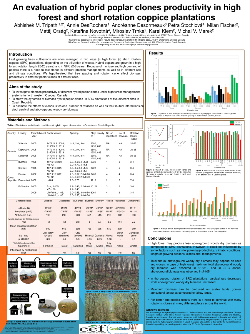 (PDF) An evaluation of hybrid poplar clones productivity in high forest ...