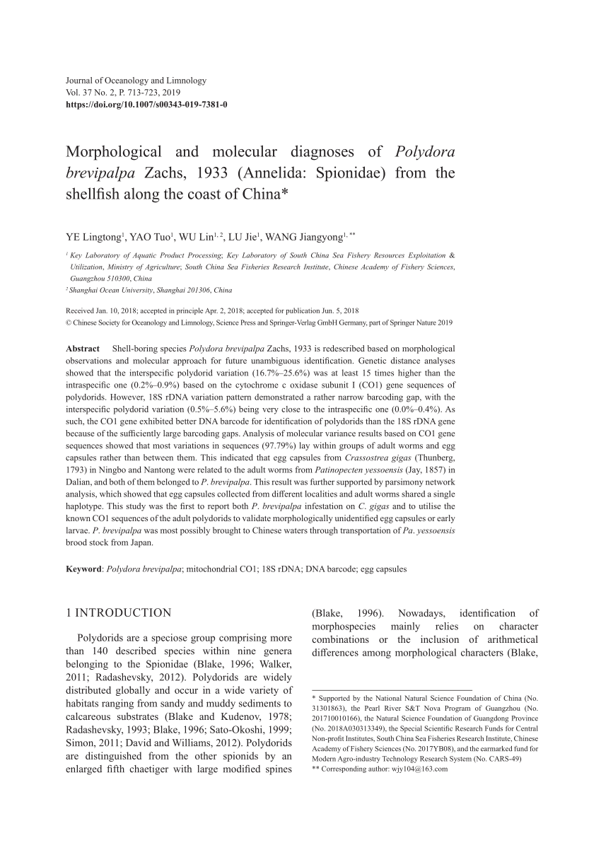 PDF) Morphological and molecular diagnoses of Polydora brevipalpa