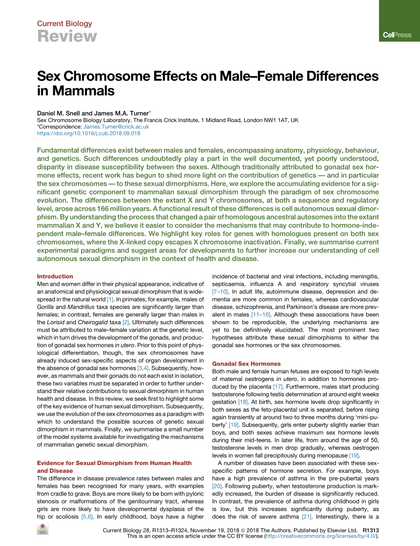 PDF) Sex Chromosome Effects on Male–Female Differences in Mammals