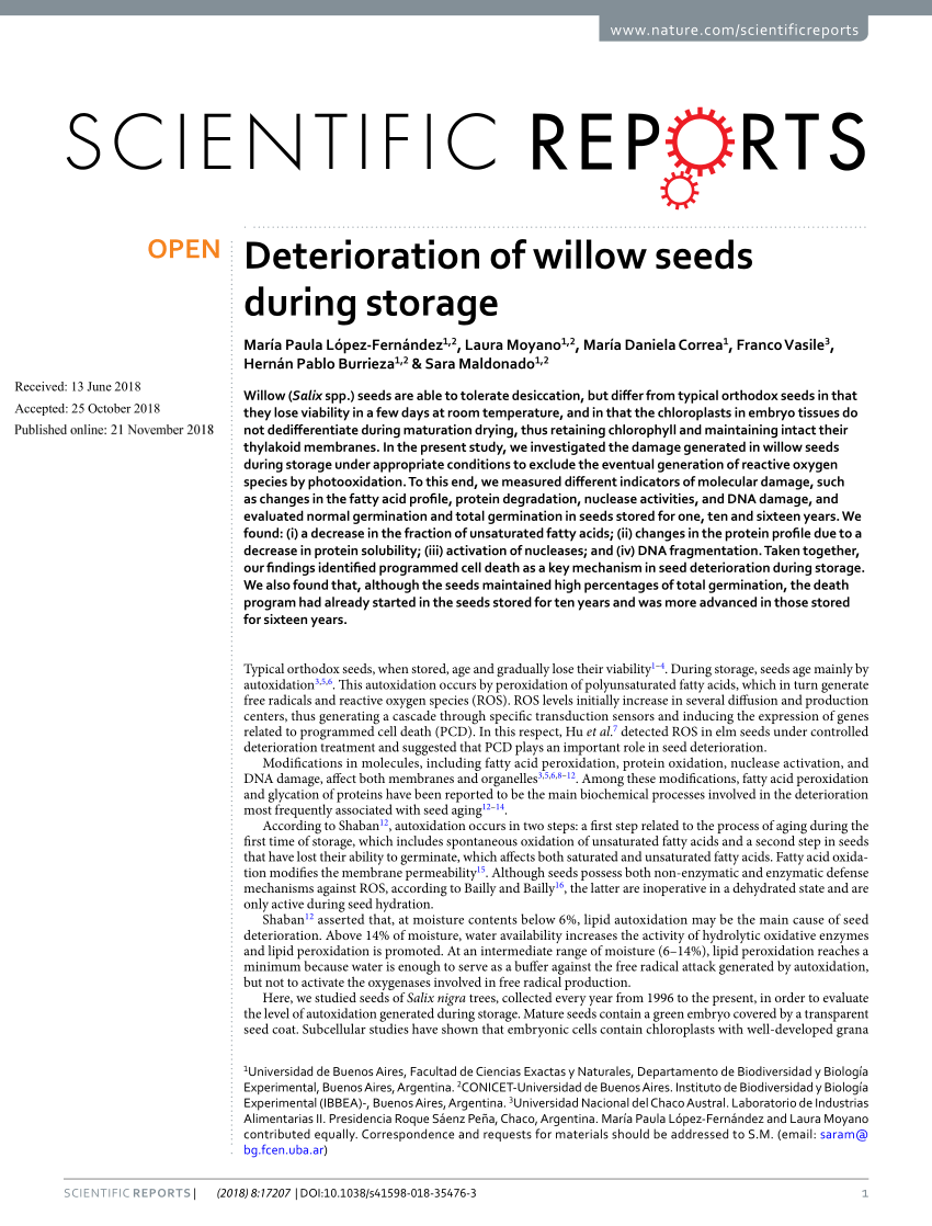 PDF Deterioration of willow seeds during storage