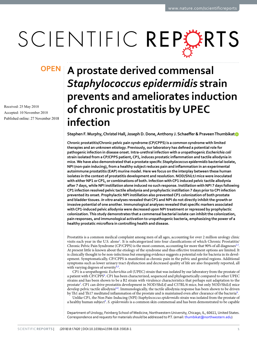 Prostatitis staphylococcus