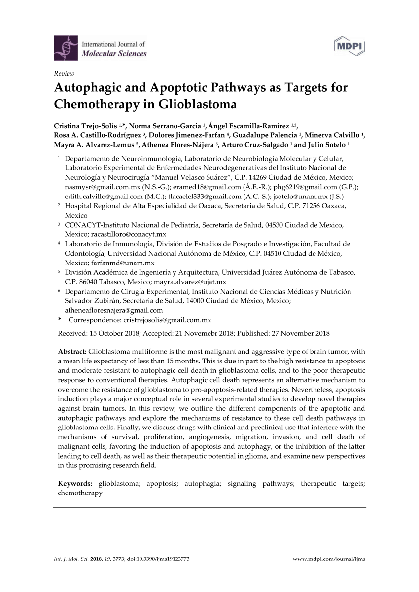 PDF) Autophagic and Apoptotic Pathways as Targets for Chemotherapy 