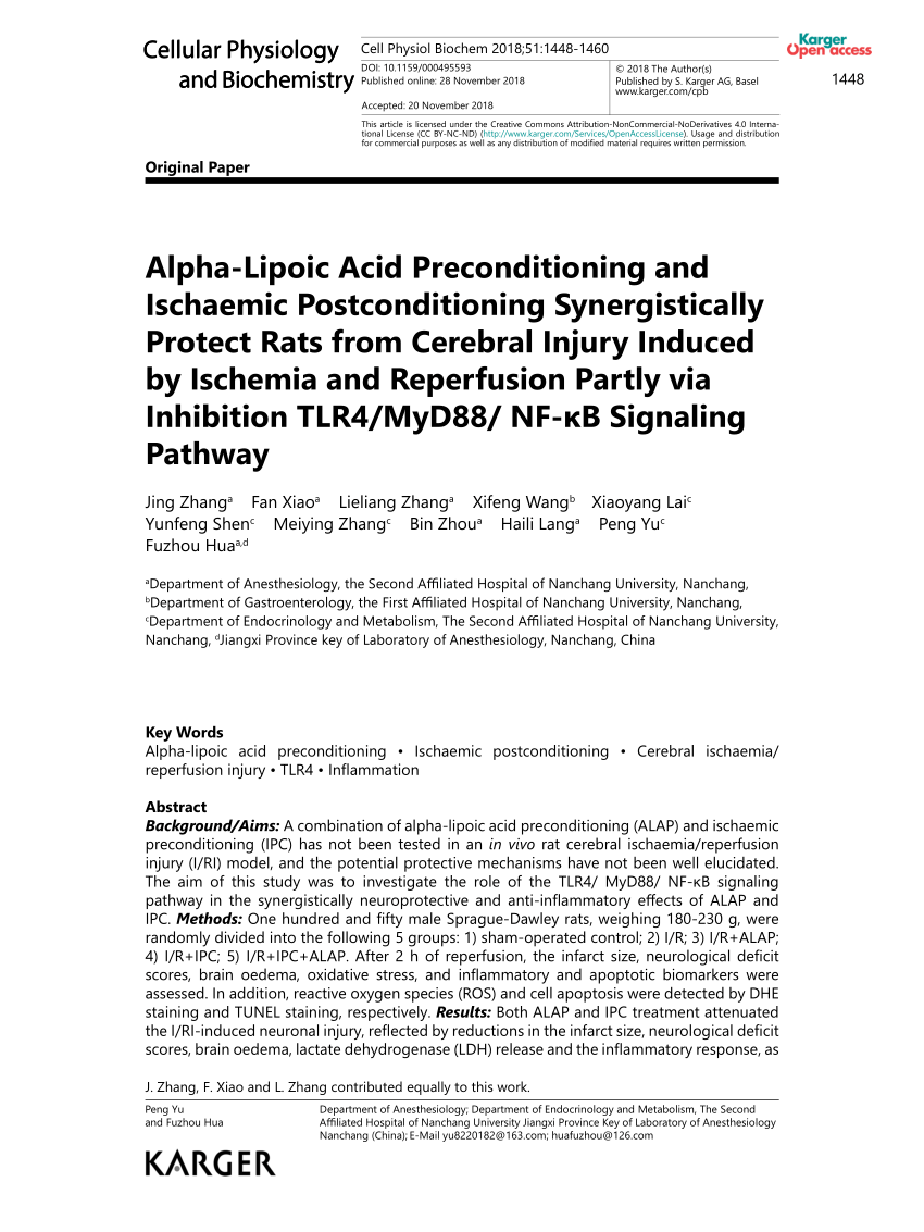 protecting the alpha pdf