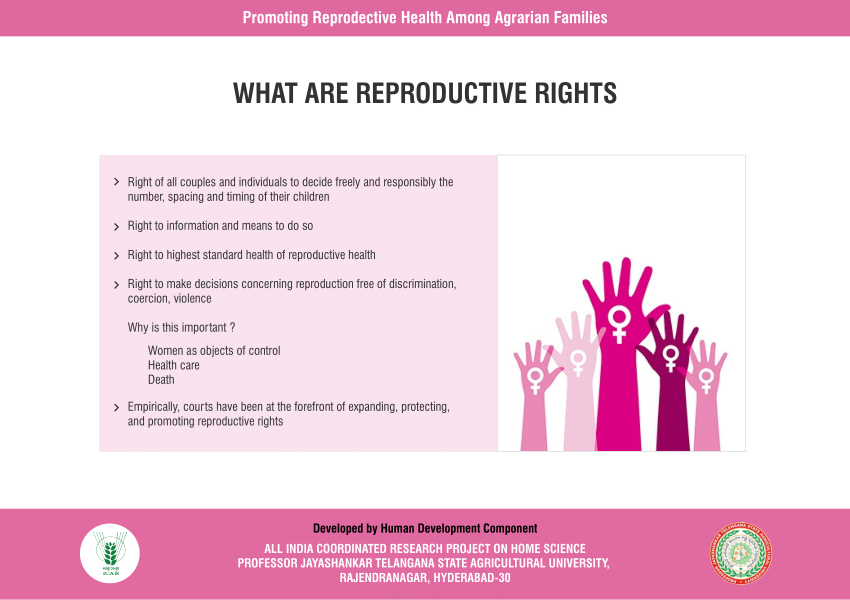 reproductive rights research topics