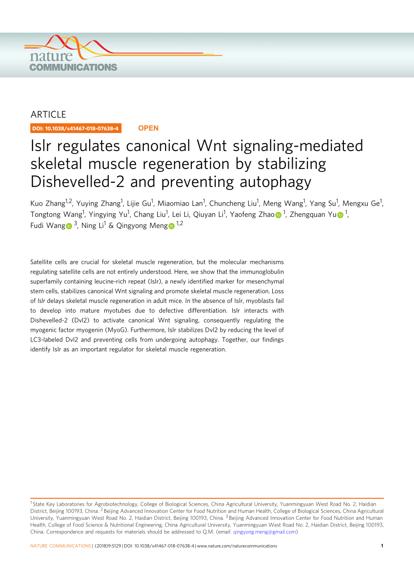 Pdf Islr Regulates Canonical Wnt Signaling Mediated Skeletal Muscle Regeneration By Stabilizing Dishevelled 2 And Preventing Autophagy