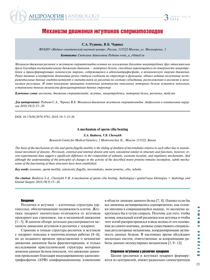 PDF) A mechanism of sperm cilia beating