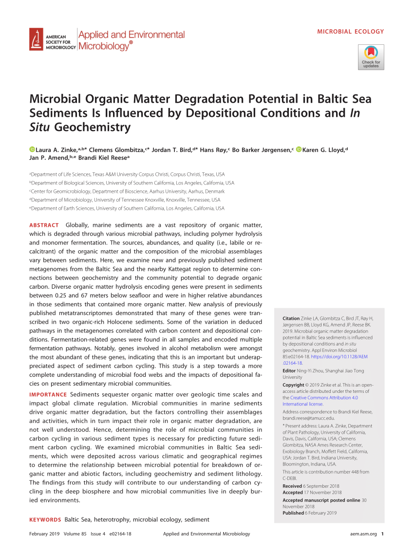 PDF) Microbial organic matter degradation potential in Baltic Sea