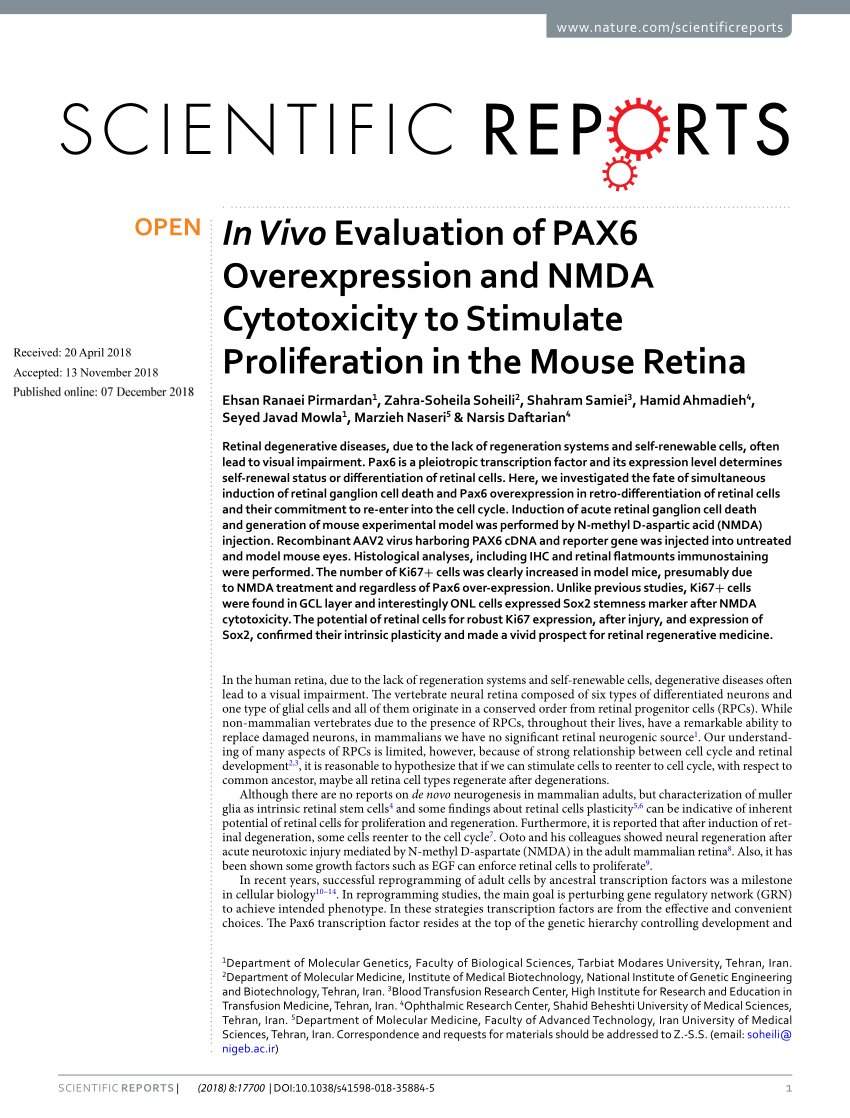 PDF) In Vivo Evaluation of PAX6 Overexpression and NMDA ...