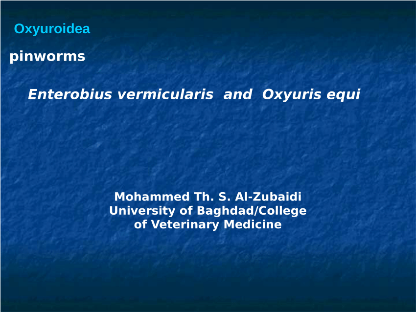 enterobius vermicularis was ist das)