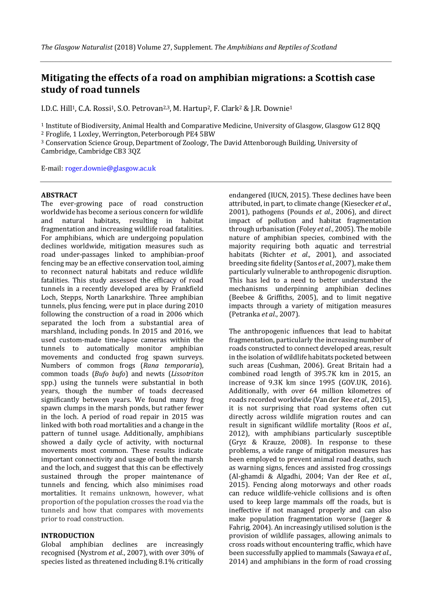 (PDF) Mitigating the effects of a road on amphibian migrations: a