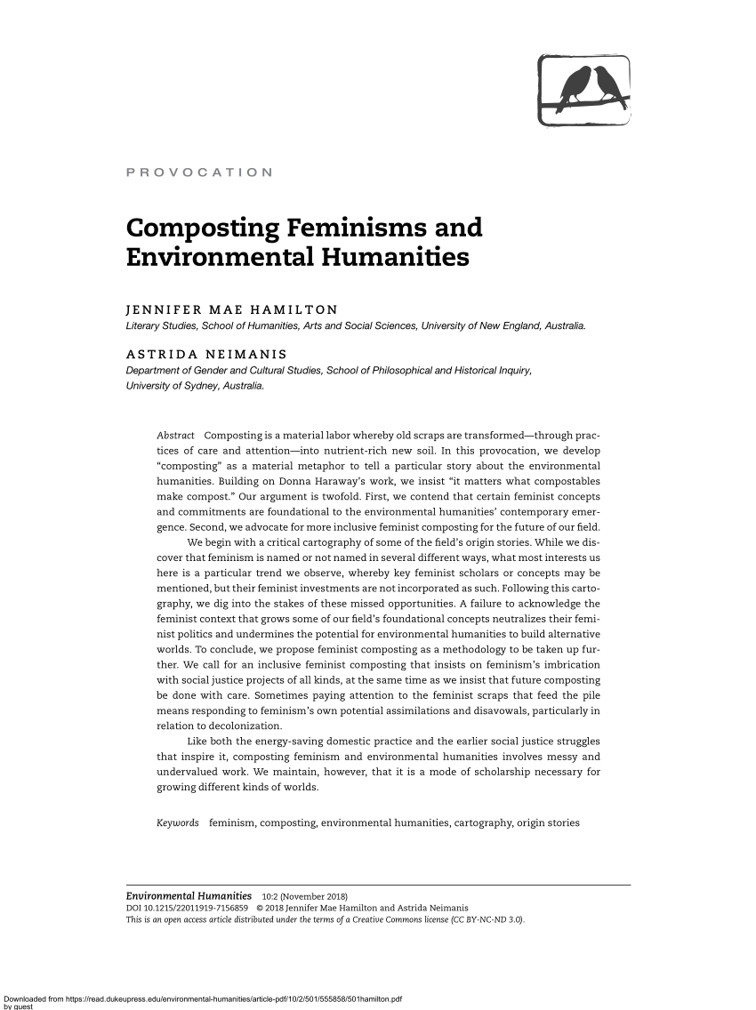 environmental humanities essay