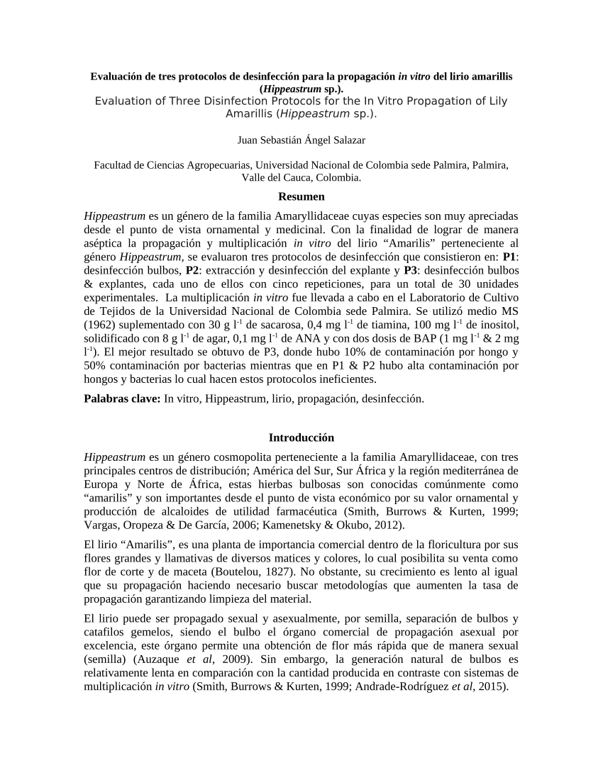 PDF) Evaluación de tres protocolos de desinfección para la propagación in  vitro del lirio amarillis (Hippeastrum sp.).