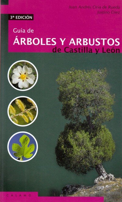 PDF) Guía de árboles y arbustos de Castilla y León