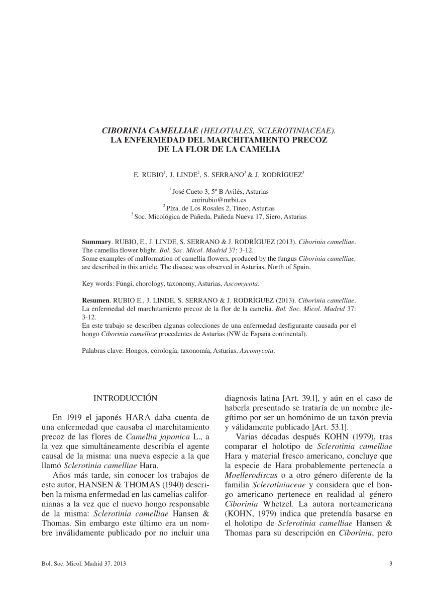 PDF) Ciborinia Camelliae (Helotiales, sclerotiniaceae). La enfermedad del  marchitamiento precoz de La flor de la camelia