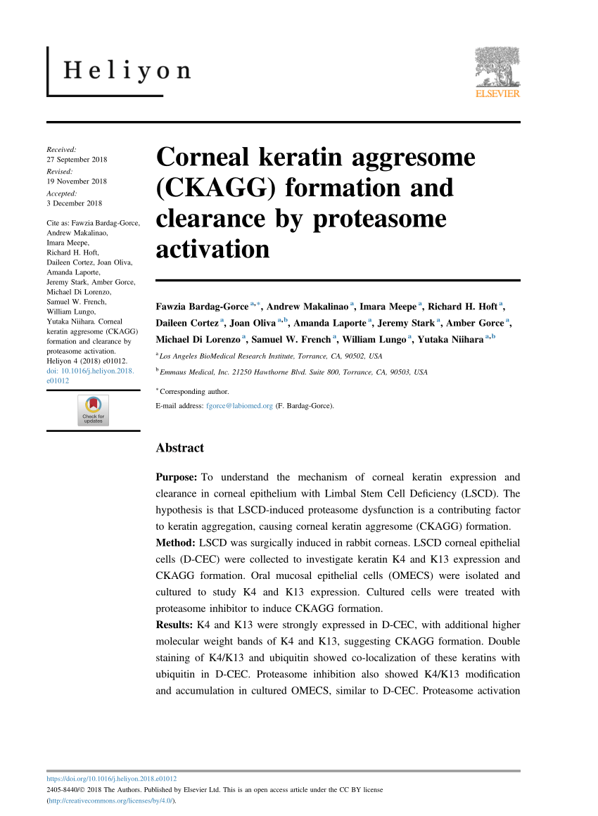 PDF) Corneal keratin aggresome (CKAGG) formation and clearance by ...
