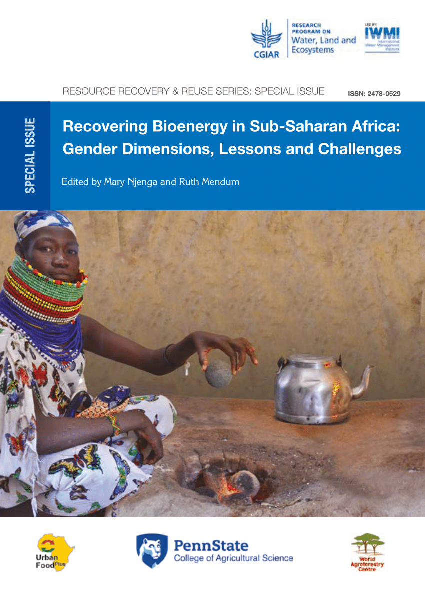 Pdf Recovering Bioenergy In Sub Saharan Africa Gender Dimensions Lessons And Challenges
