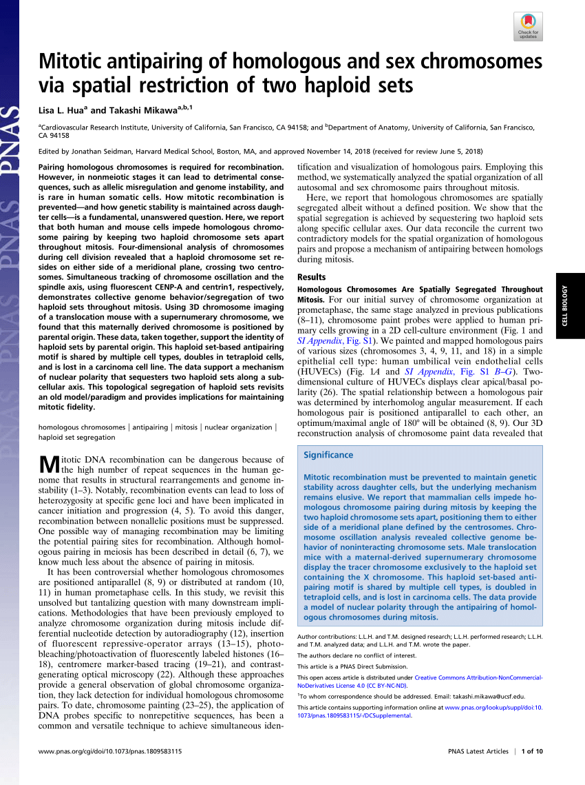 PDF) Mitotic antipairing of homologous and sex chromosomes via ...
