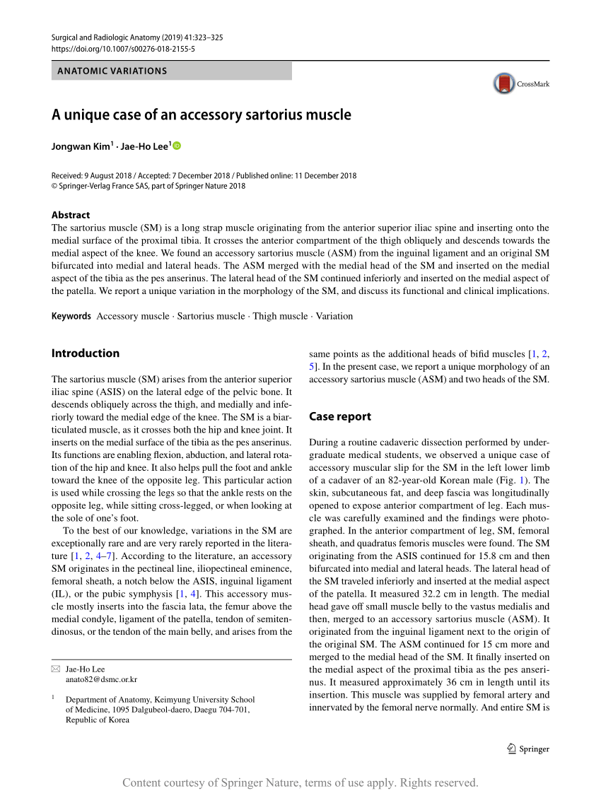 A unique case of an accessory sartorius muscle | Request PDF