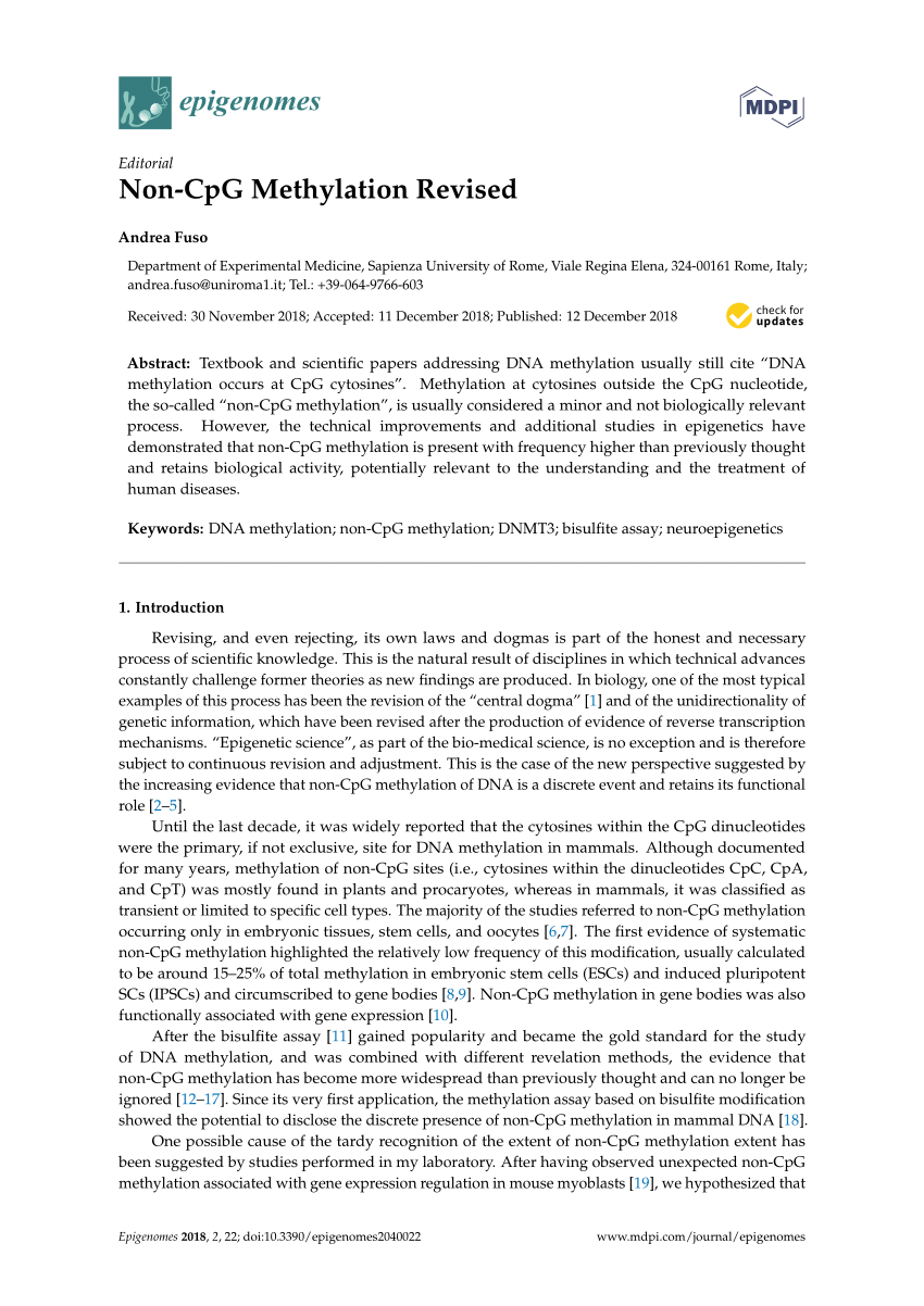 CIS-CPG Vorbereitungsfragen