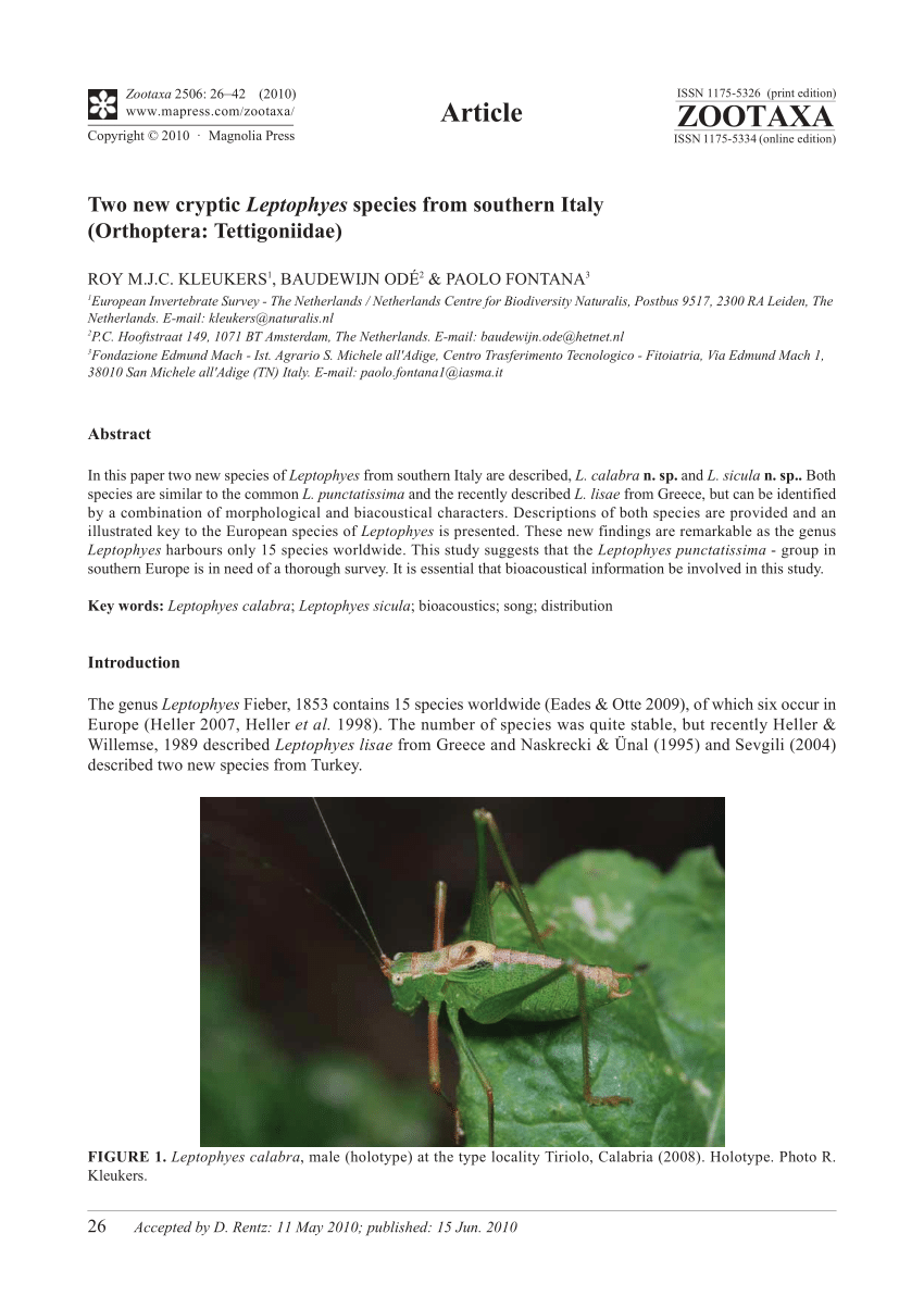 PDF) Two new cryptic Leptophyes species from southern Italy (Orthoptera:  Tettigoniidae)