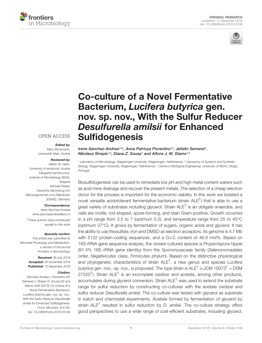 PDF) Co-culture of a Novel Fermentative Bacterium, Lucifera ...