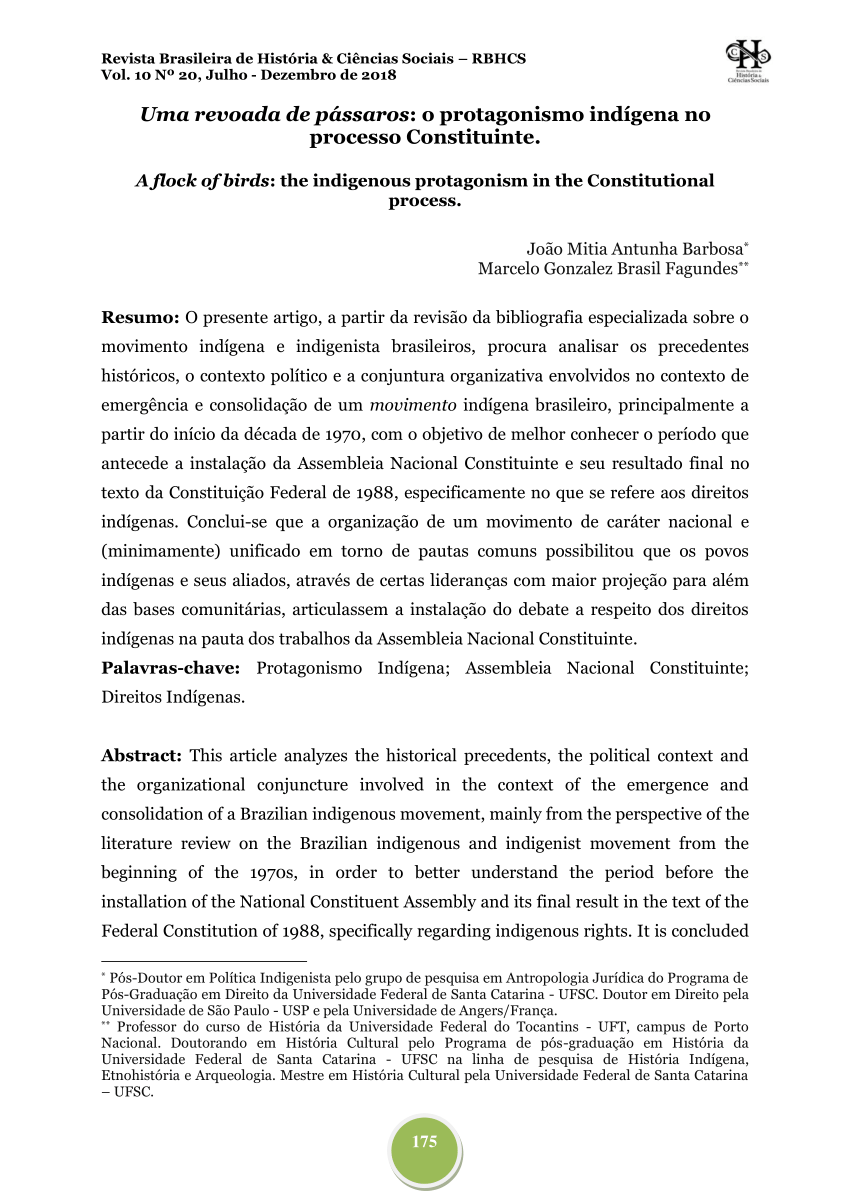 Há um retrocesso nos direitos humanos no País, diz Krischke